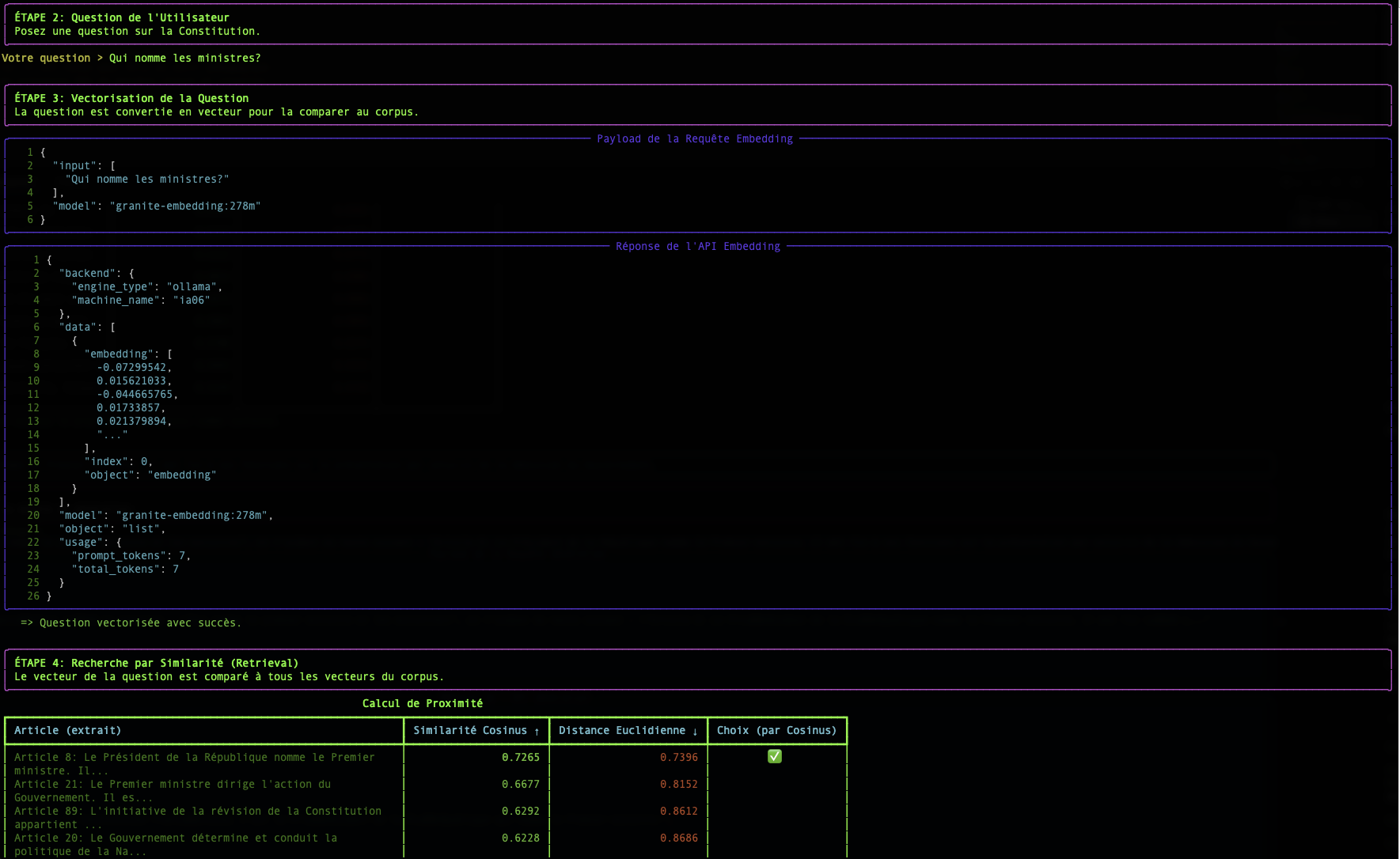 Exemple de vecteur d'embedding