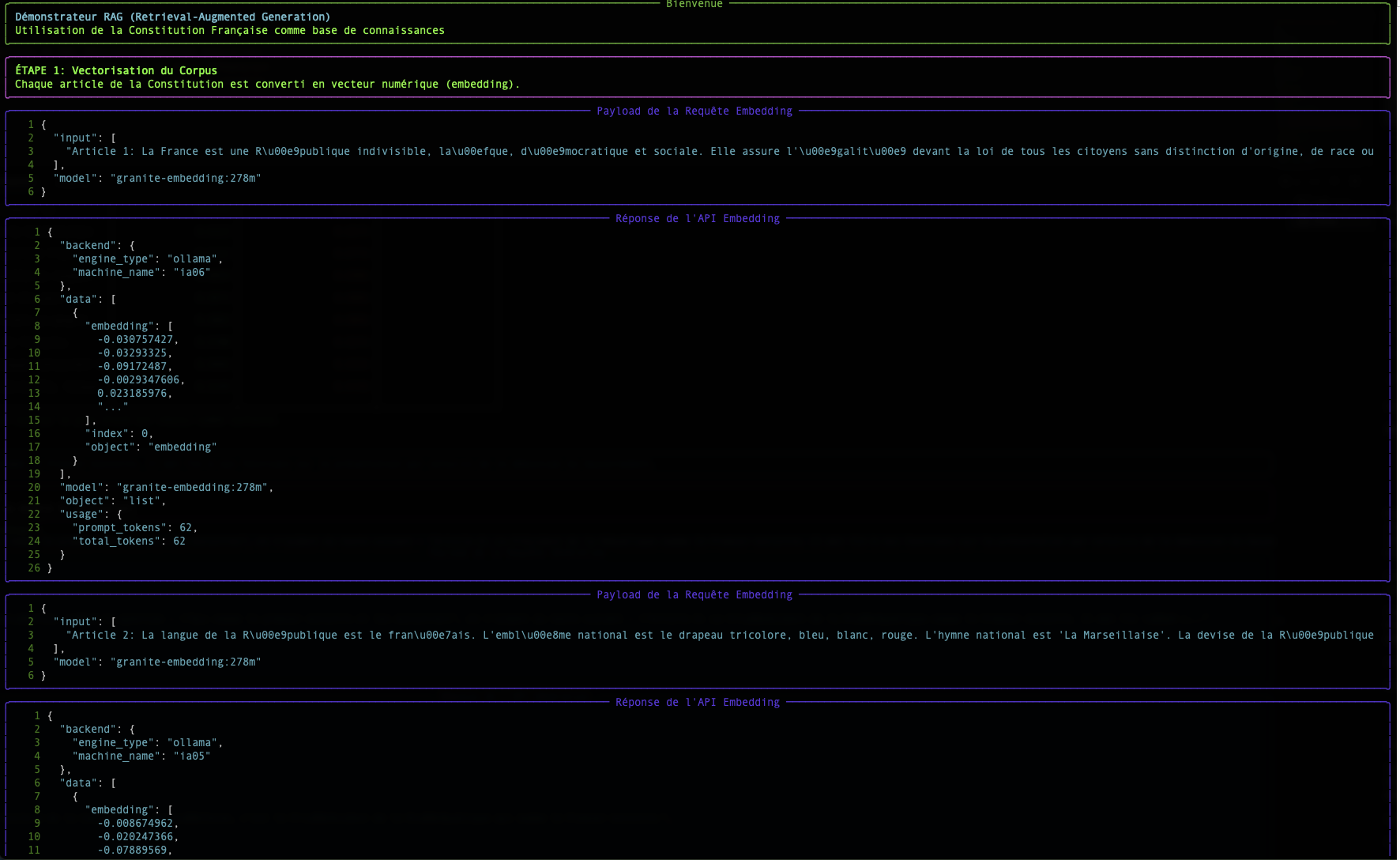 Esquema conceptual del RAG