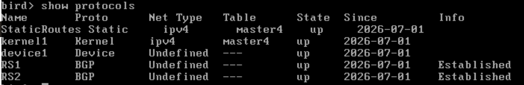 birdc show protocols